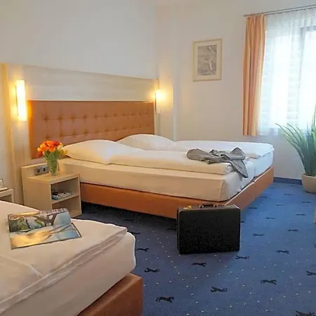 Rappen 4*